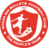 大子弹