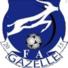 FC加塞列